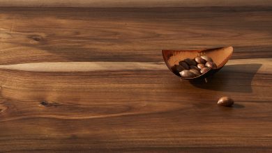 Photo of Двери с антисептическим покрытием