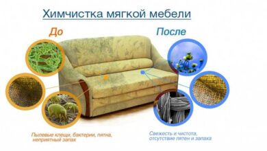 Photo of Преимущества химчистки мягкой мебели
