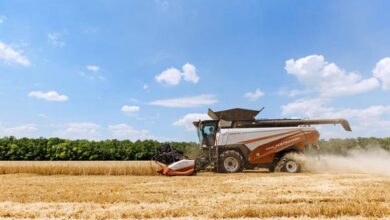 Photo of Высокое качество уборки и эффективность