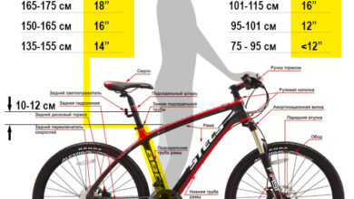Photo of Значение правильного выбора размера рамы для комфортной езды