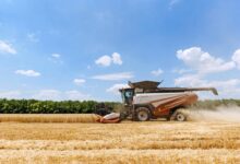 Photo of Высокое качество уборки и эффективность